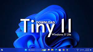 Tiny11 2311 OS Download